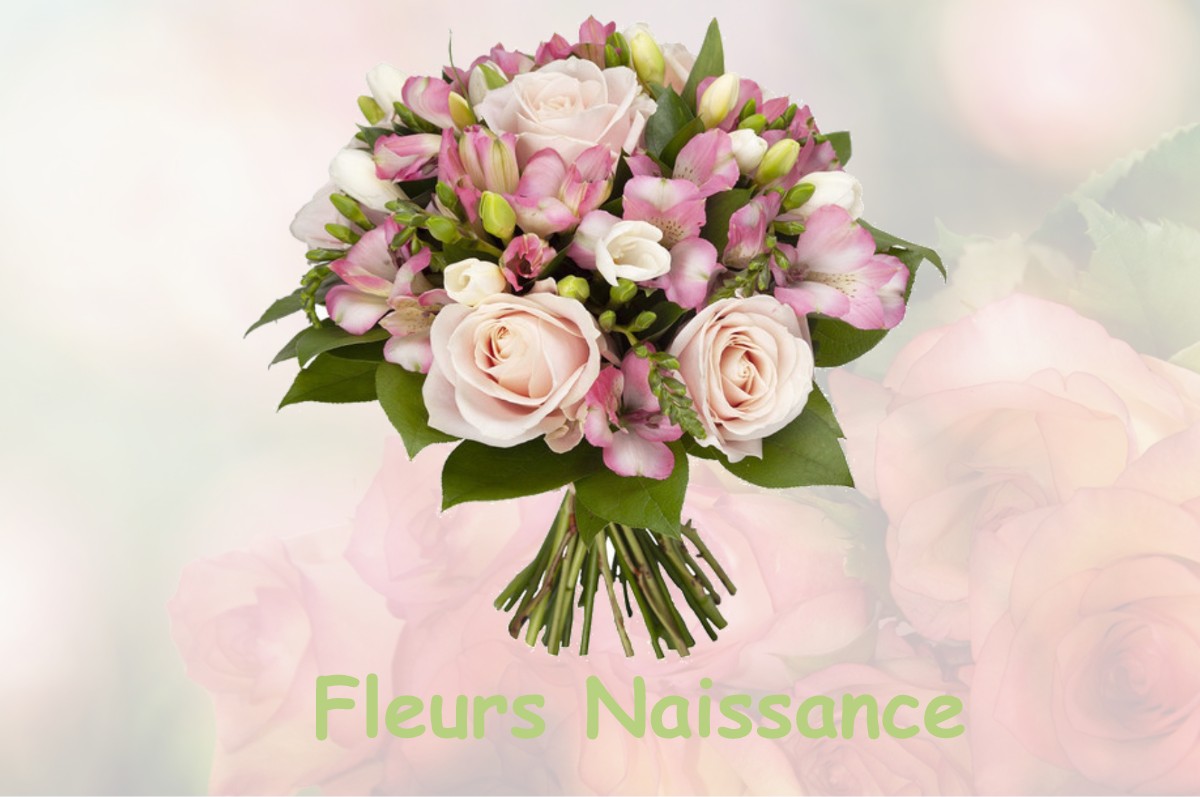 fleurs naissance LA-VILLENEUVE-SOUS-THURY