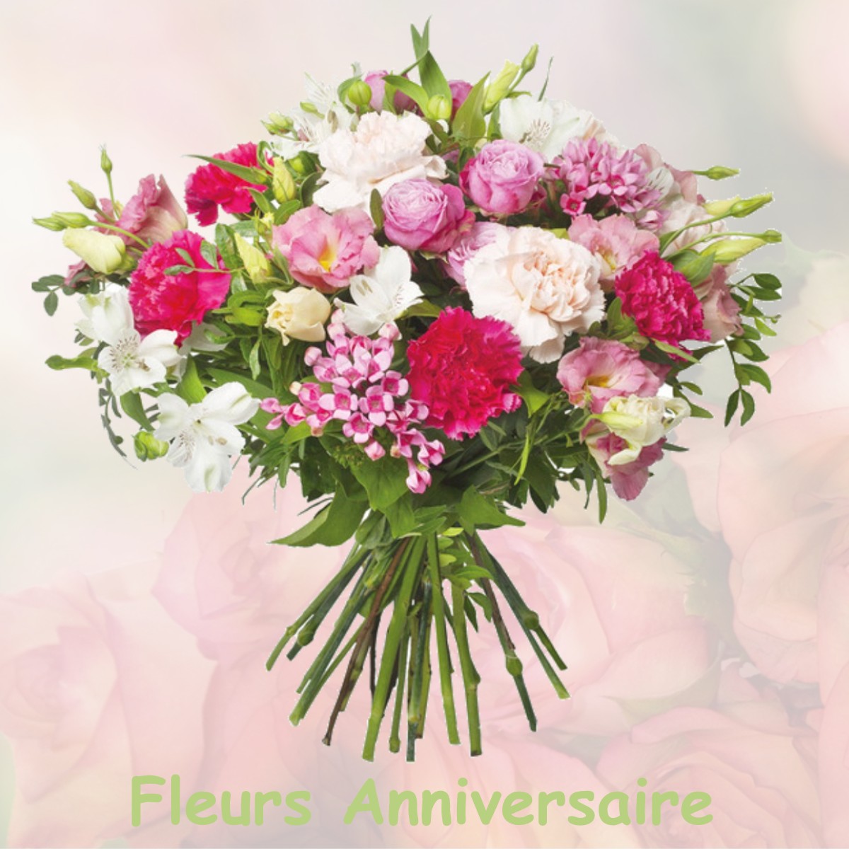 fleurs anniversaire LA-VILLENEUVE-SOUS-THURY